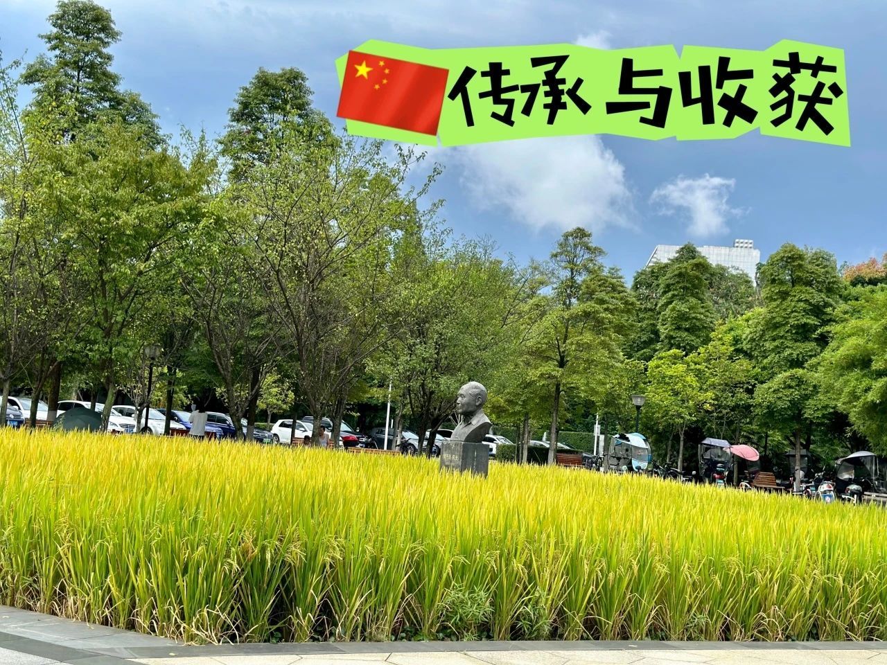 星空·xingkong体育官方网站