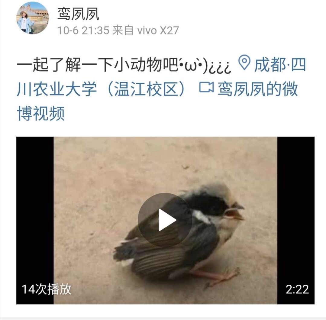 星空·xingkong体育官方网站